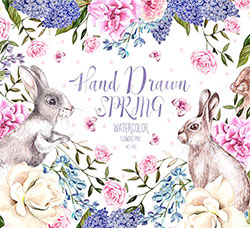40张高清背景透明的北欧风水彩植物/兔子PNG图片：Hand Drawn Watercolor Spring